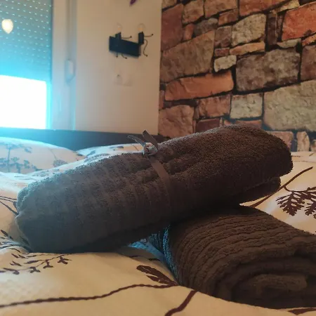 公寓 Viczentrum 希欧福克